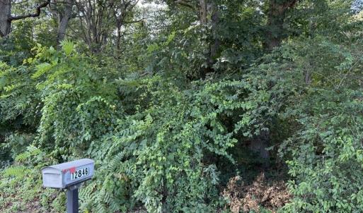 Photo #4 of TBD ROCKINGHAM PIKE, ELKTON, VA 1.0 acres