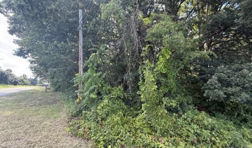 Photo #5 of TBD ROCKINGHAM PIKE, ELKTON, VA 1.0 acres
