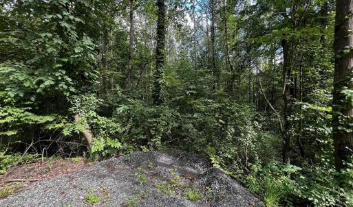Photo #1 of TBD GREENE ACRES RD, STANARDSVILLE, VA 0.8 acres