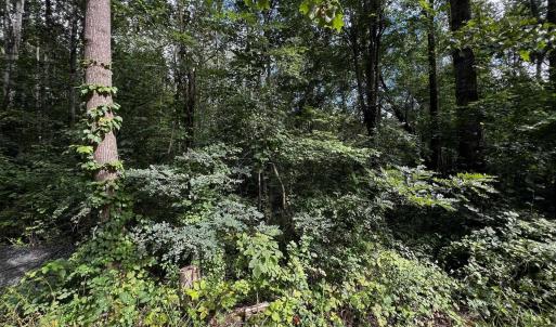 Photo #2 of TBD GREENE ACRES RD, STANARDSVILLE, VA 0.8 acres