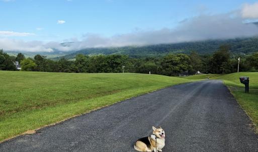 Photo #2 of 118 LEXINGTON CT, STANARDSVILLE, VA 19.4 acres