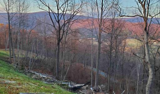 Photo #24 of 118 LEXINGTON CT, STANARDSVILLE, VA 19.4 acres
