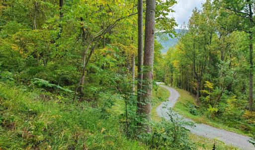Photo #28 of 118 LEXINGTON CT, STANARDSVILLE, VA 19.4 acres