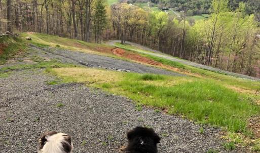 Photo #13 of 118 LEXINGTON CT, STANARDSVILLE, VA 19.4 acres