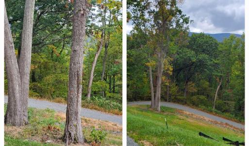 Photo #9 of 118 LEXINGTON CT, STANARDSVILLE, VA 19.4 acres