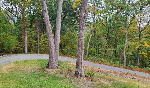 Photo #15 of 118 LEXINGTON CT, STANARDSVILLE, VA 19.4 acres