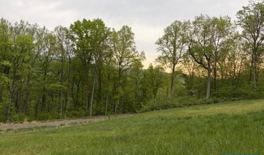 Photo #20 of 118 LEXINGTON CT, STANARDSVILLE, VA 19.4 acres