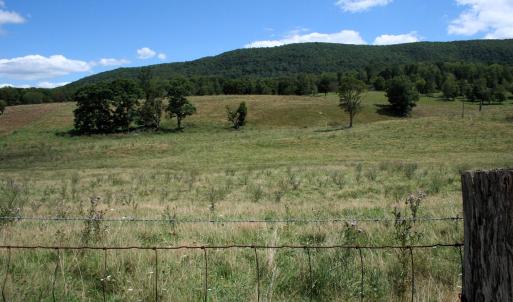 Photo #2 of TBD MILL GAP RD, MONTEREY, VA 19.5 acres