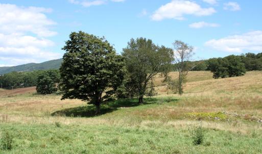 Photo #5 of TBD MILL GAP RD, MONTEREY, VA 19.5 acres