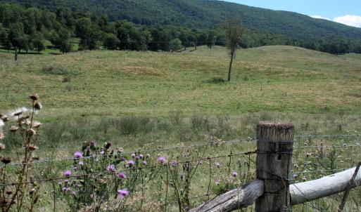 Photo #3 of TBD MILL GAP RD, MONTEREY, VA 19.5 acres