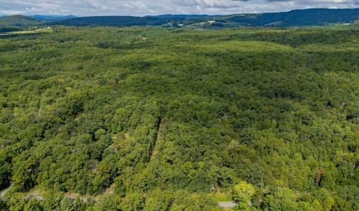 Photo #6 of 19.54 AC PRESIDENTS RD, SCOTTSVILLE, VA 19.5 acres