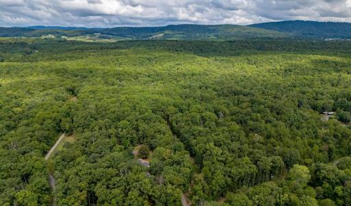 Photo #4 of 19.54 AC PRESIDENTS RD, SCOTTSVILLE, VA 19.5 acres