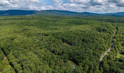 Photo #9 of 19.54 AC PRESIDENTS RD, SCOTTSVILLE, VA 19.5 acres