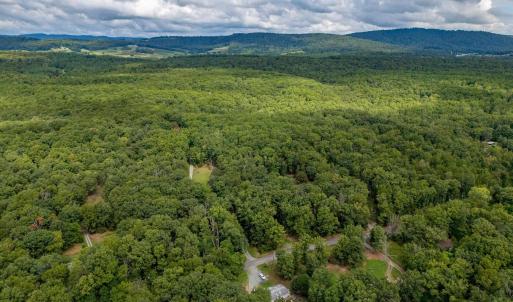 Photo #5 of 19.54 AC PRESIDENTS RD, SCOTTSVILLE, VA 19.5 acres