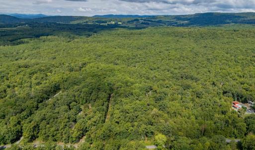 Photo #7 of 19.54 AC PRESIDENTS RD, SCOTTSVILLE, VA 19.5 acres