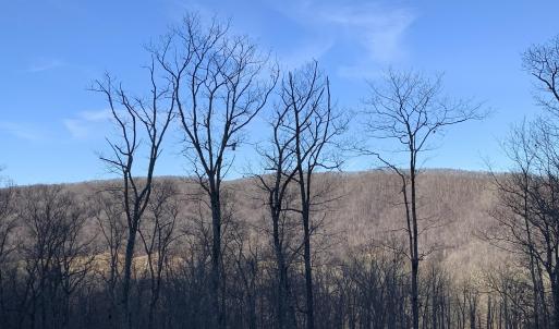 Photo #4 of 15 DELAFIELD RD, HOT SPRINGS, VA 1.6 acres