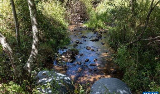 Photo #32 of Lot 4 ZINKS MILL SCHOOL RD, MONTEBELLO, VA 14.9 acres