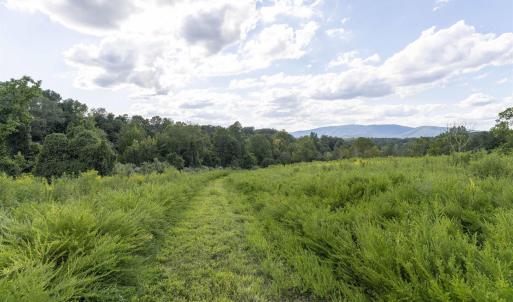 Photo #3 of Lot 5 GILLUMS RIDGE RD, CHARLOTTESVILLE, VA 3.1 acres