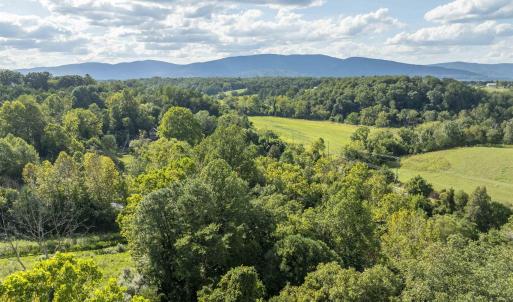 Photo #13 of Lot 5 GILLUMS RIDGE RD, CHARLOTTESVILLE, VA 3.1 acres