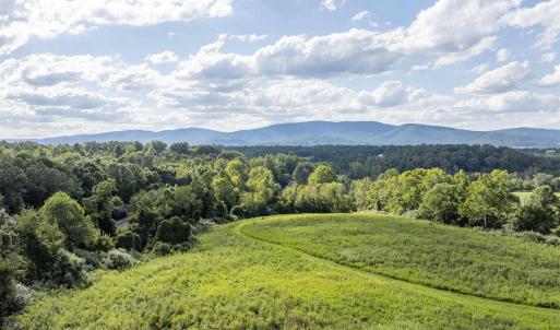 Photo #5 of Lot 5 GILLUMS RIDGE RD, CHARLOTTESVILLE, VA 3.1 acres
