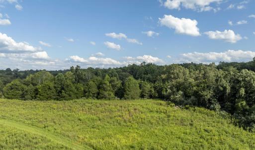 Photo #8 of Lot 5 GILLUMS RIDGE RD, CHARLOTTESVILLE, VA 3.1 acres