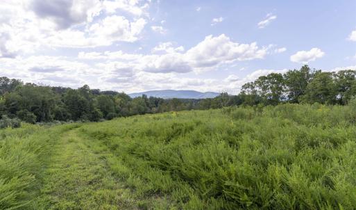 Photo #2 of Lot 5 GILLUMS RIDGE RD, CHARLOTTESVILLE, VA 3.1 acres