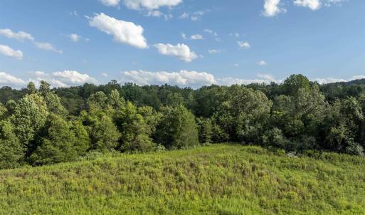 Photo #9 of Lot 5 GILLUMS RIDGE RD, CHARLOTTESVILLE, VA 3.1 acres