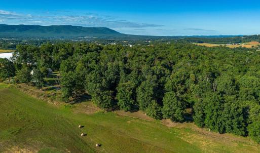 Photo #3 of TBD SWEET OAKS LN, STUARTS DRAFT, VA 1.9 acres