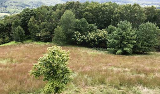Photo #5 of .TBD DOE HILL RD, MC DOWELL, VA 35.5 acres