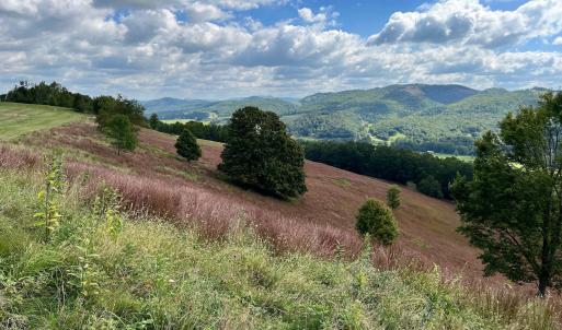 Photo #35 of .TBD DOE HILL RD, MC DOWELL, VA 35.5 acres