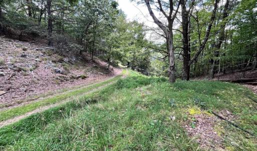 Photo #46 of .TBD DOE HILL RD, MC DOWELL, VA 35.5 acres