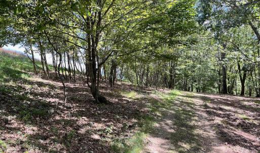 Photo #53 of .TBD DOE HILL RD, MC DOWELL, VA 35.5 acres