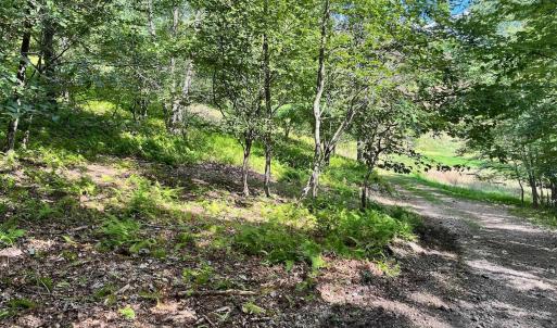 Photo #43 of .TBD DOE HILL RD, MC DOWELL, VA 35.5 acres
