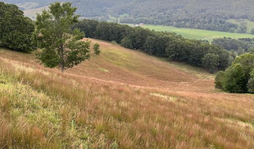Photo #11 of .TBD DOE HILL RD, MC DOWELL, VA 35.5 acres