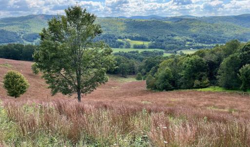 Photo #38 of .TBD DOE HILL RD, MC DOWELL, VA 35.5 acres