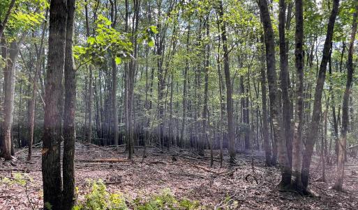 Photo #30 of .TBD DOE HILL RD, MC DOWELL, VA 35.5 acres