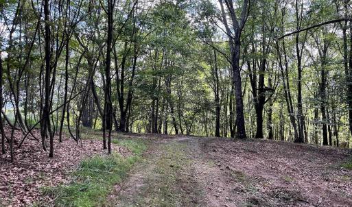 Photo #26 of .TBD DOE HILL RD, MC DOWELL, VA 35.5 acres