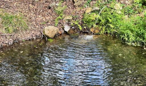 Photo #45 of .TBD DOE HILL RD, MC DOWELL, VA 35.5 acres