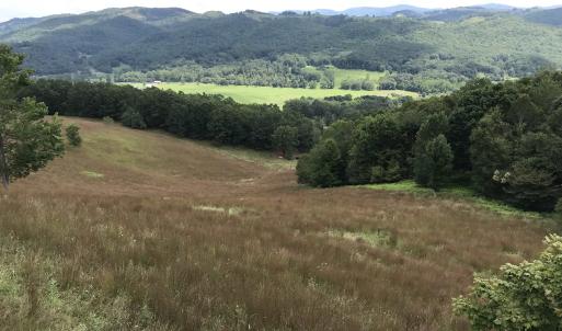 Photo #5 of .TBD DOE HILL RD, MC DOWELL, VA 35.5 acres