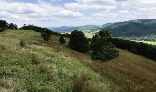 Photo #1 of .TBD DOE HILL RD, MC DOWELL, VA 35.5 acres