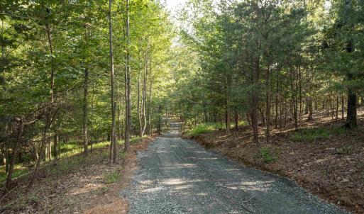 Photo #6 of TBD WATTS PASSAGE, CHARLOTTESVILLE, VA 66.0 acres