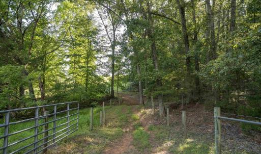 Photo #19 of TBD WATTS PASSAGE, CHARLOTTESVILLE, VA 66.0 acres