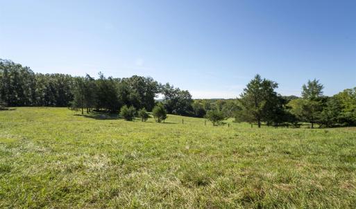 Photo #13 of TBD WATTS PASSAGE, CHARLOTTESVILLE, VA 66.0 acres