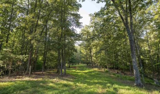 Photo #20 of TBD WATTS PASSAGE, CHARLOTTESVILLE, VA 66.0 acres