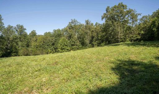 Photo #21 of TBD WATTS PASSAGE, CHARLOTTESVILLE, VA 66.0 acres
