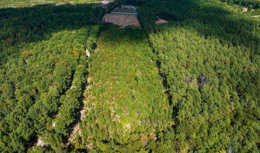 Photo #10 of TISDALE RD, LOUISA, VA 9.4 acres