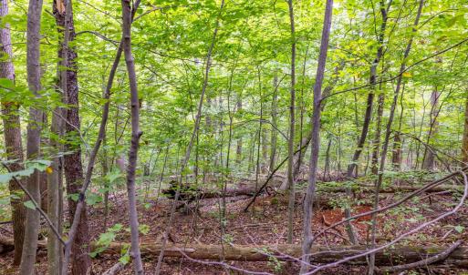 Photo #4 of MAE DR, STANARDSVILLE, VA 2.8 acres