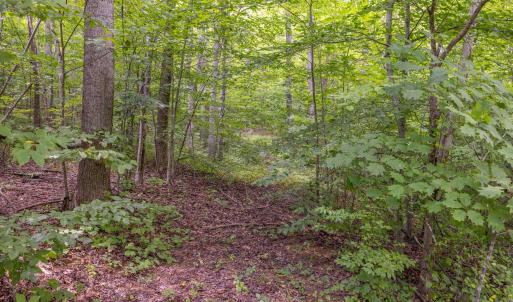 Photo #3 of MAE DR, STANARDSVILLE, VA 2.8 acres