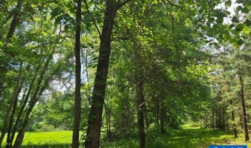 Photo #12 of JAMES RIVER RD, WINGINA, VA 36.9 acres