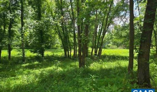 Photo #13 of JAMES RIVER RD, WINGINA, VA 36.9 acres